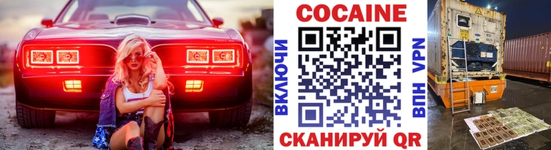 Купить закладки  Зубцов  Cocaine Fish Scale 