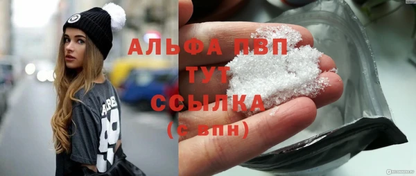 скорость Ельня