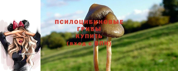 МДПВ Елабуга