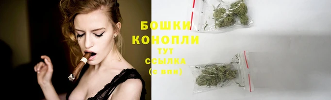 соль ск Дмитровск