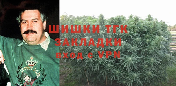 тгк Елизово
