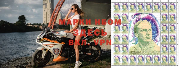 скорость Ельня