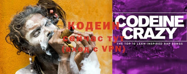 соль ск Дмитровск