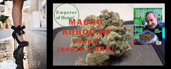 скорость Ельня