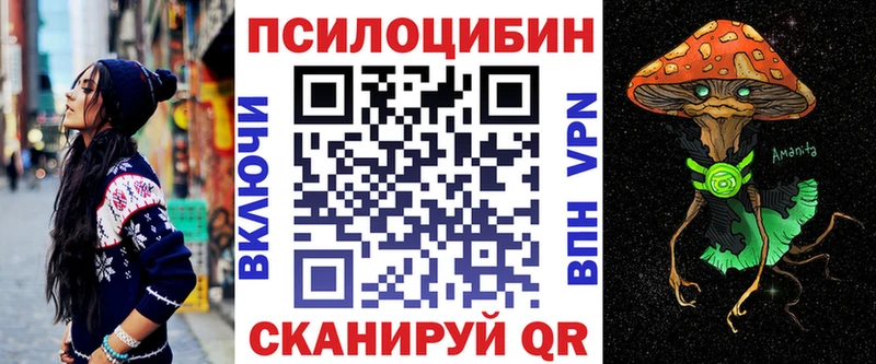 Галлюциногенные грибы Psilocybe  Купить  Зубцов 